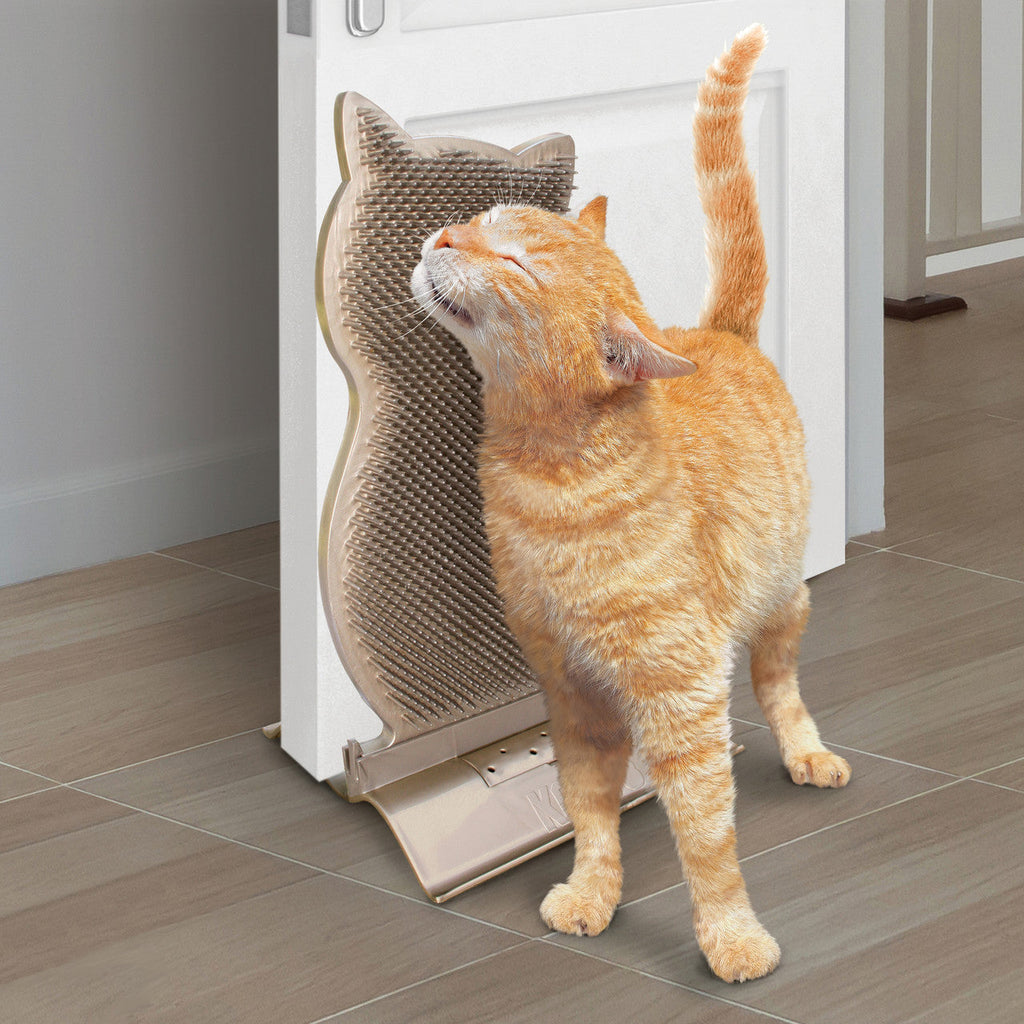 Connects Kitty Comber