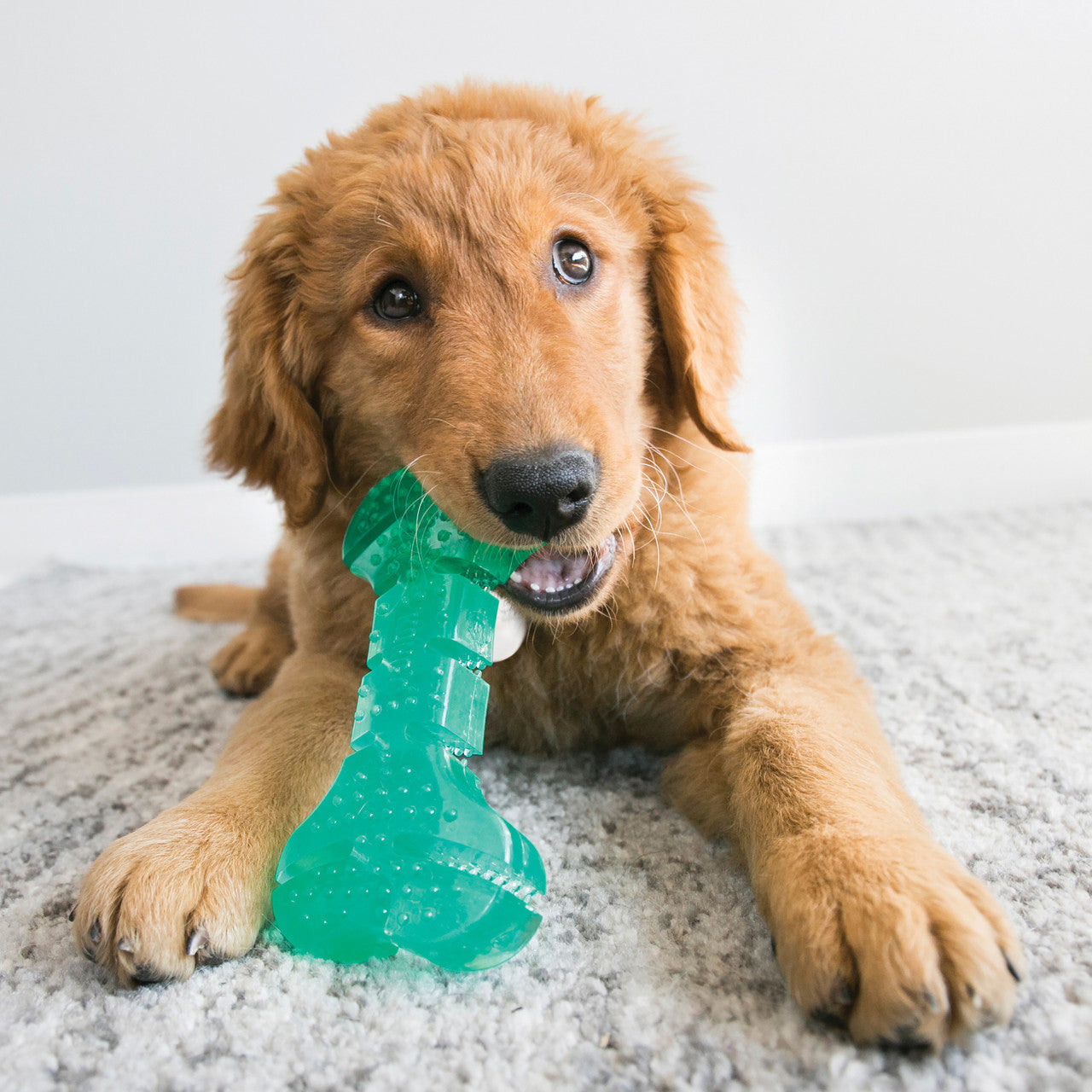 Squeezz Dental Stick