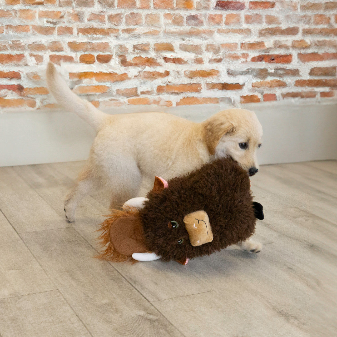 Comfort Jumbo Highland Cow. Assorted Colors