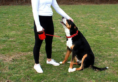 KONG Retractable Leash Terrain Red