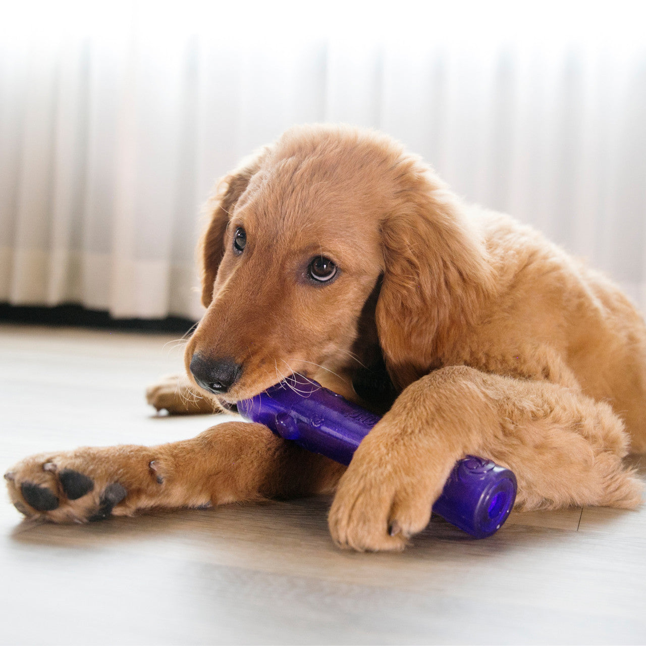 Squeezz Stick. Assorted Colors