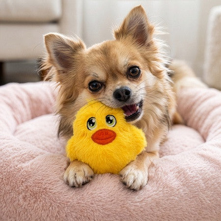 Snuzzles Mini Duck