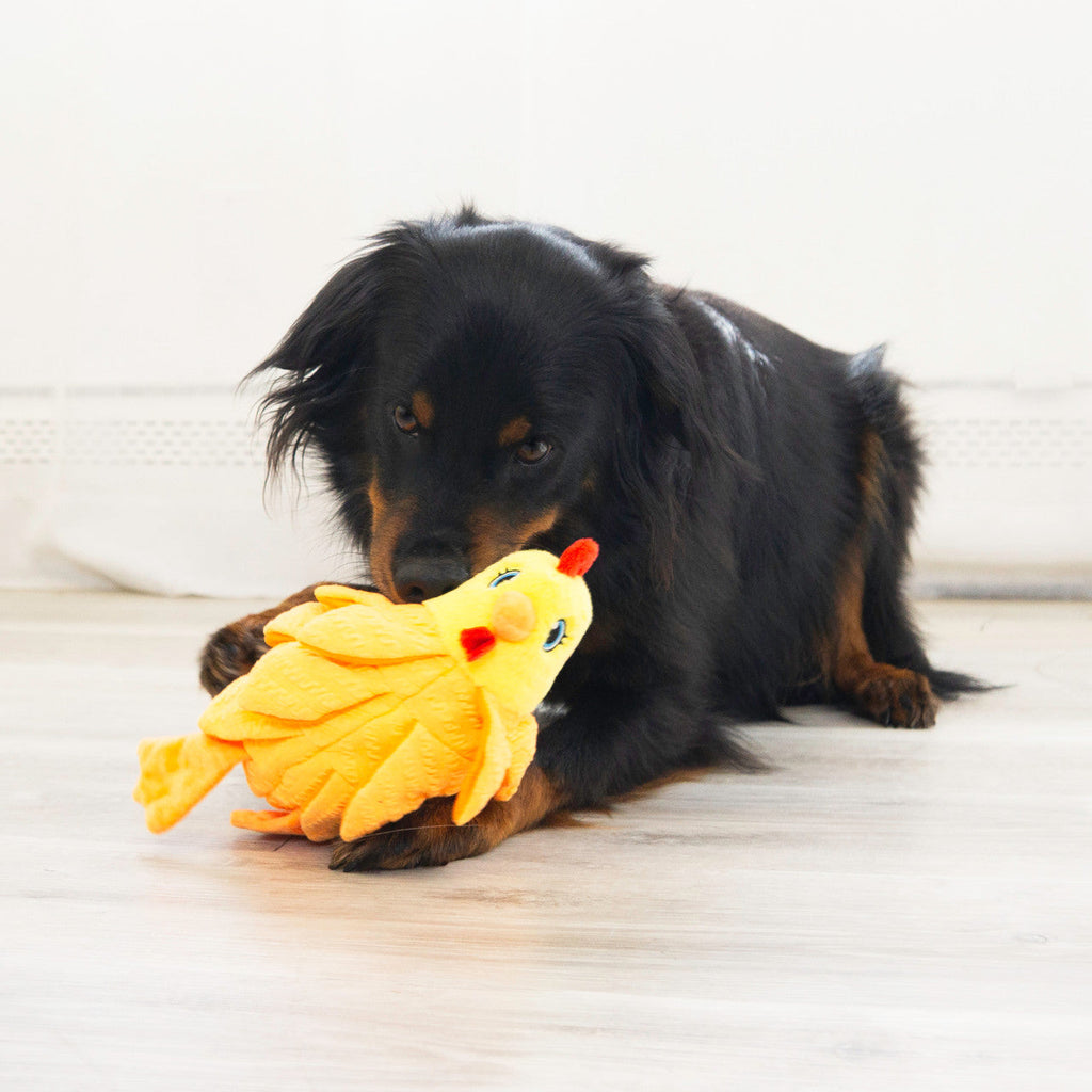 Layerz Forage Hen