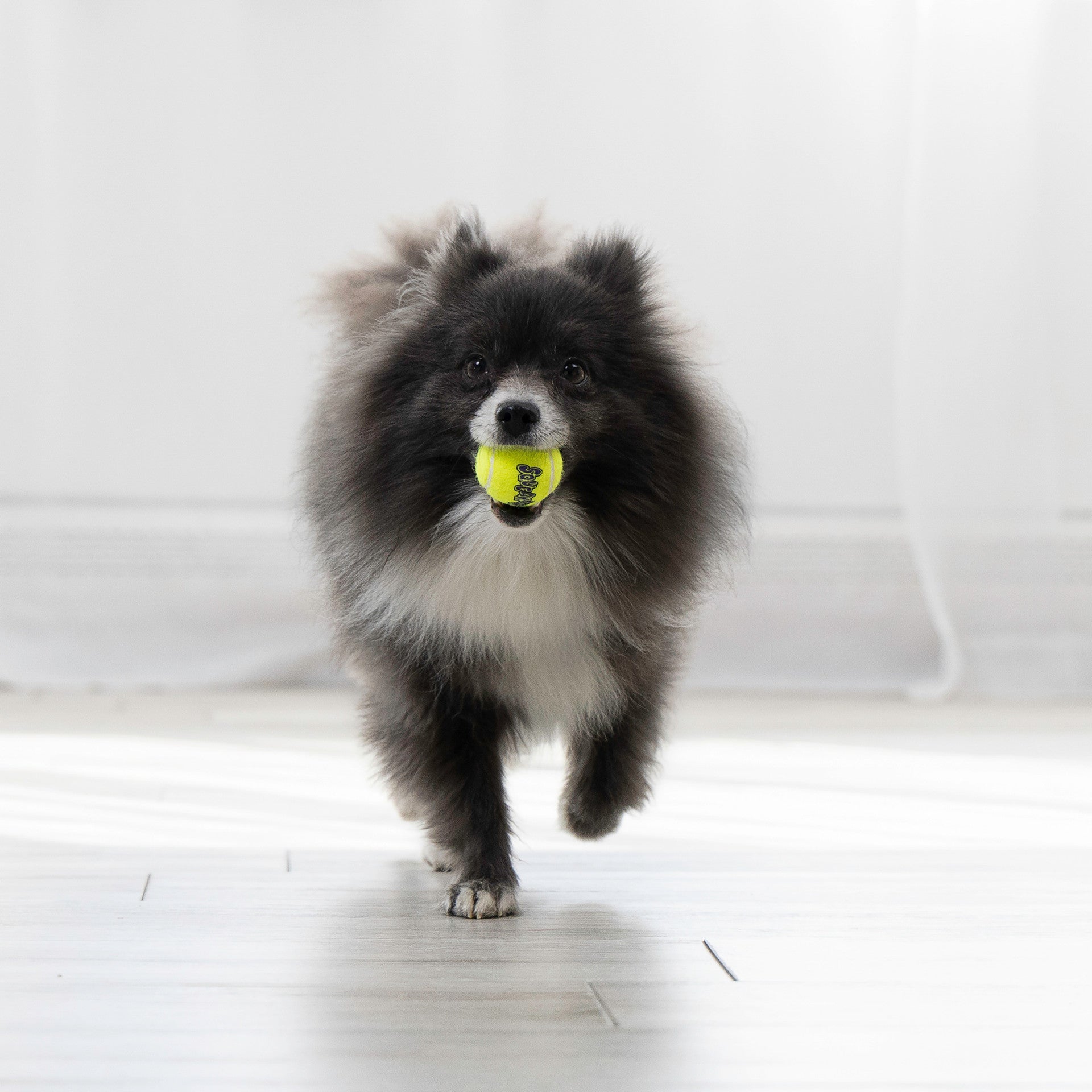 SqueakAir Balls. 3 Pack