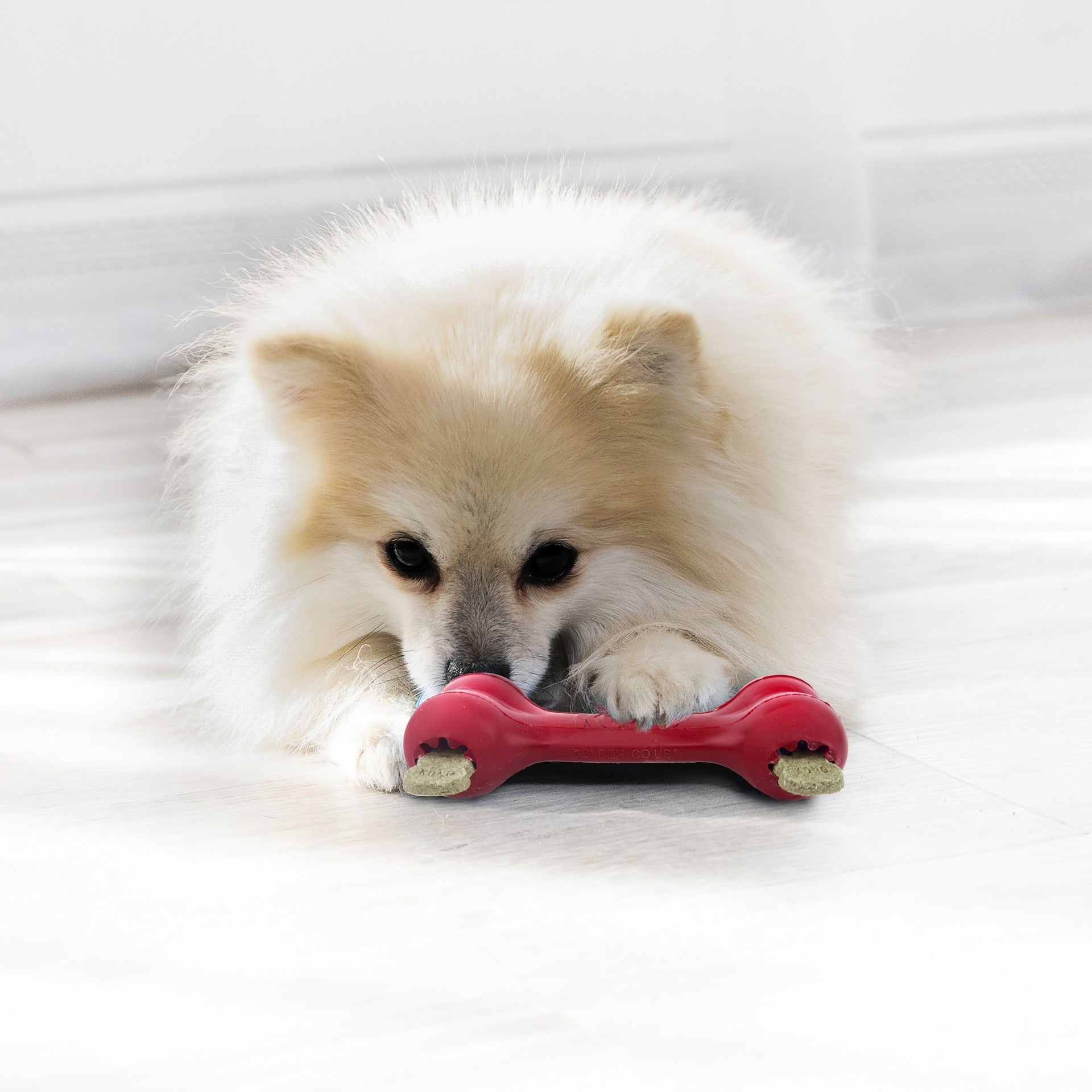 KONG Goodie Bone