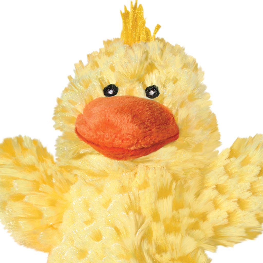 Dr. Noyz Duck