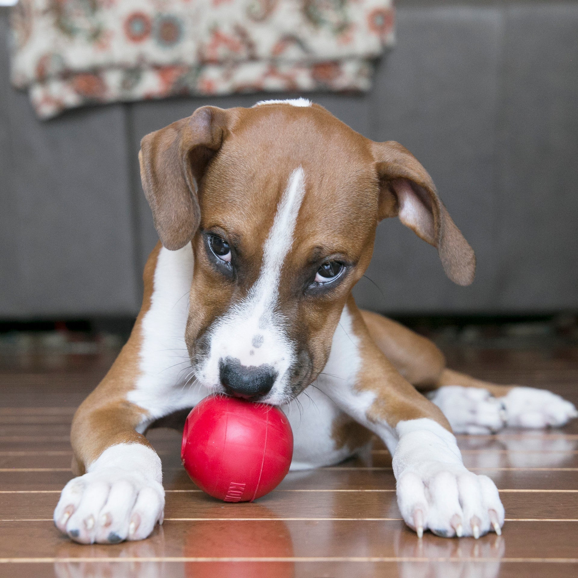 KONG Classic Ball