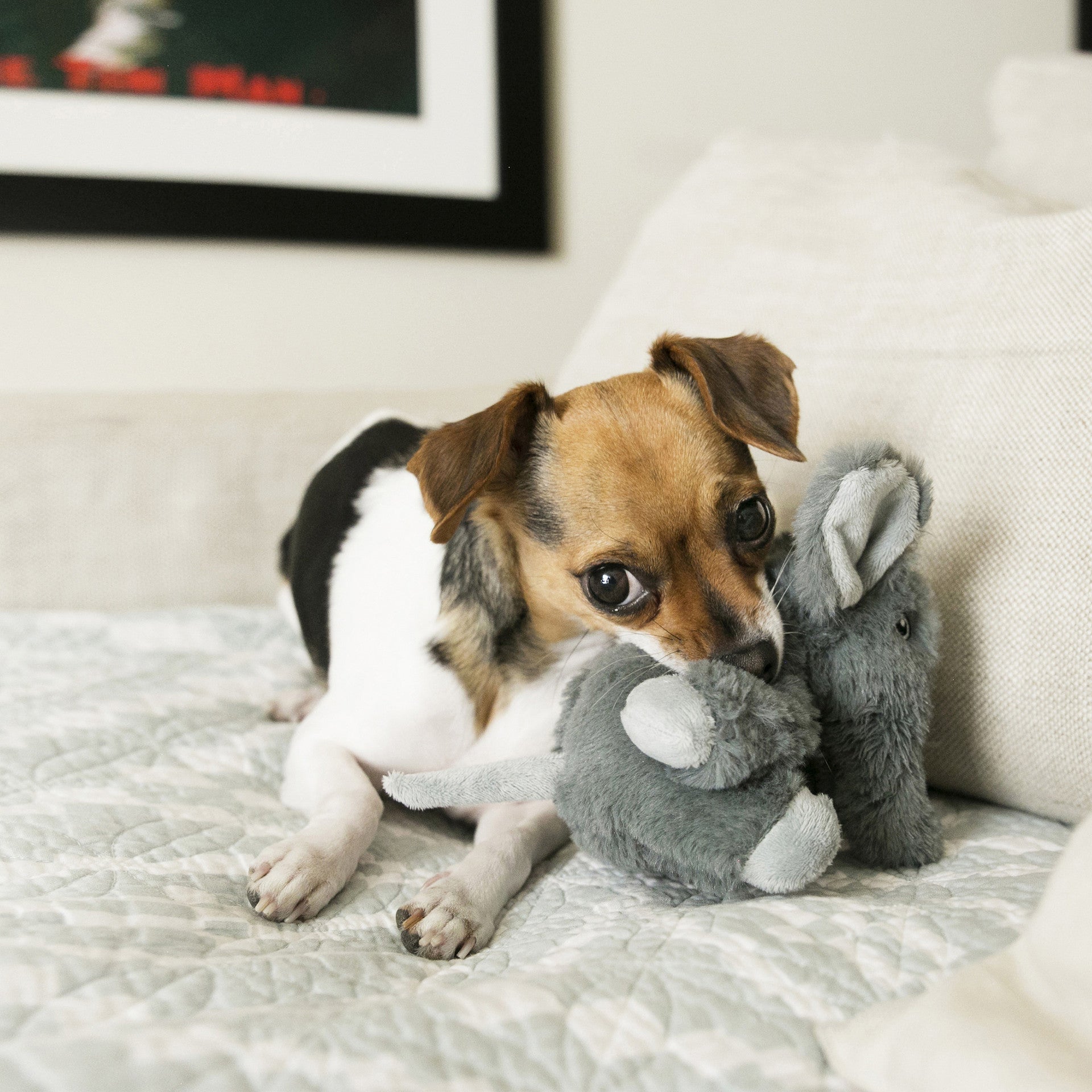 Comfort Kiddos Elephant