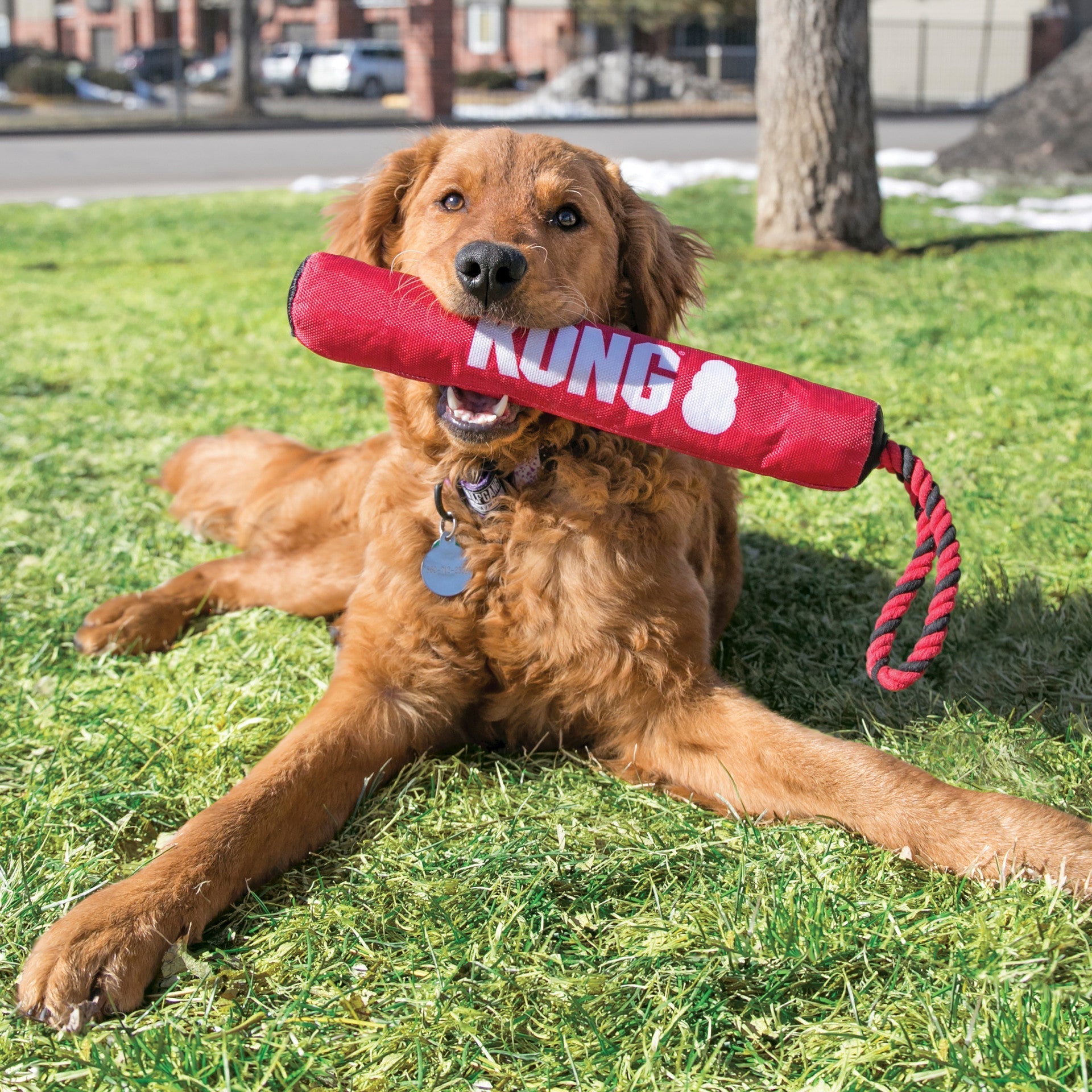 Signature Stick w/Rope