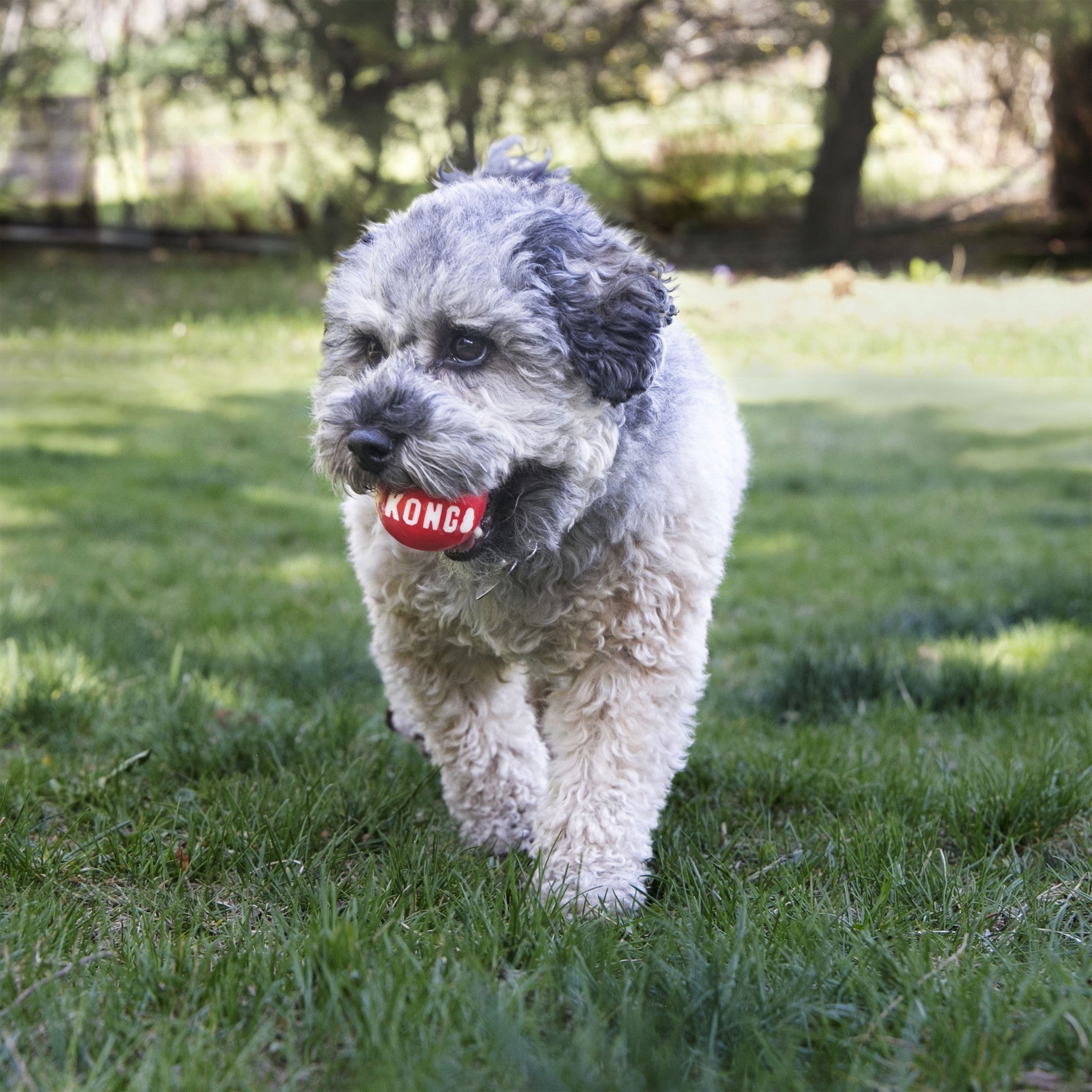 Signature Balls 2-pk