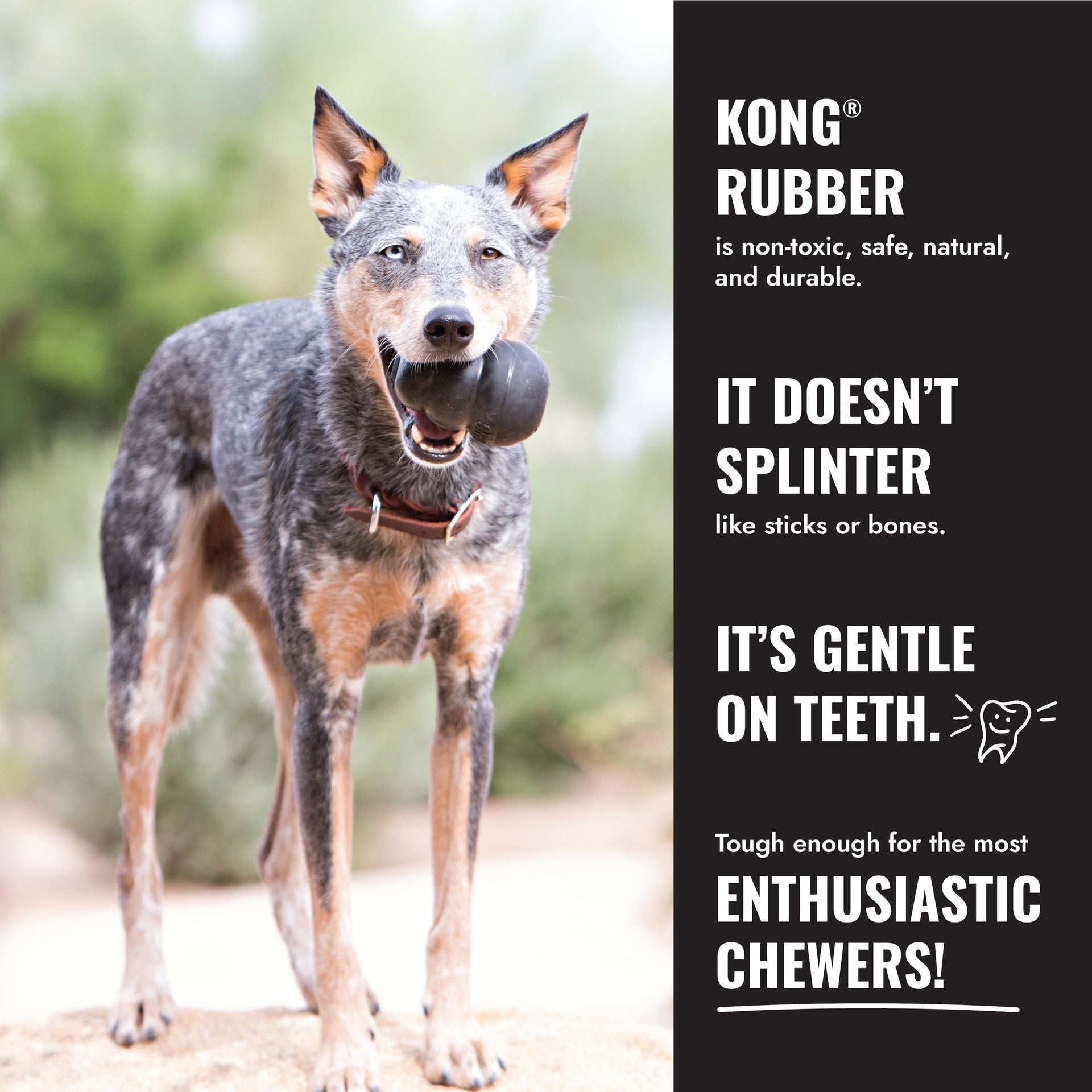 KONG Extreme Flyer