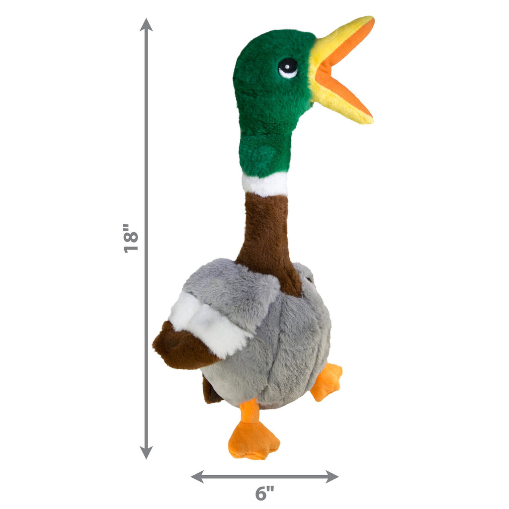 Shakers Honkers Duck