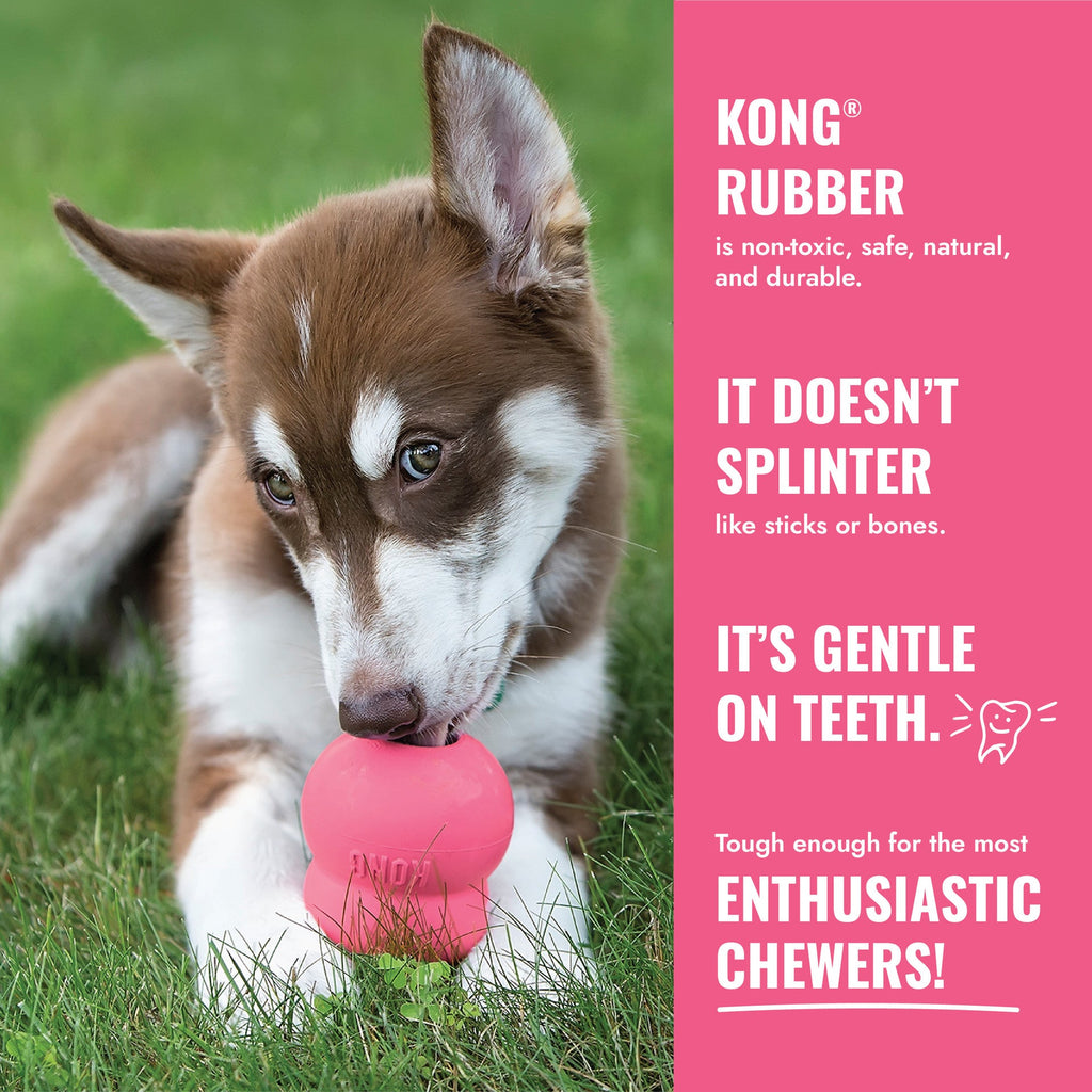 KONG Binkie Pink