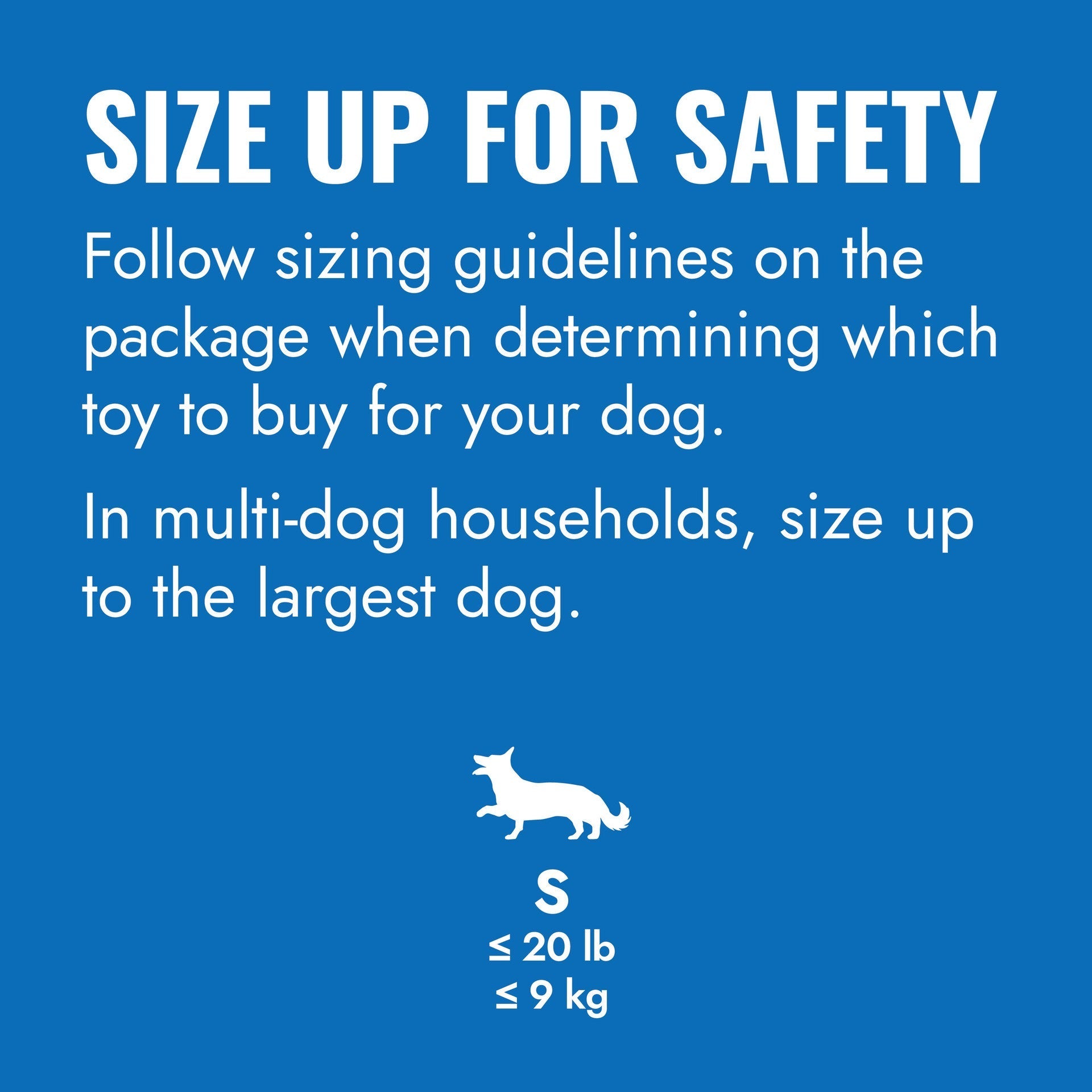 KONG Puppy Goodie Bone Blue