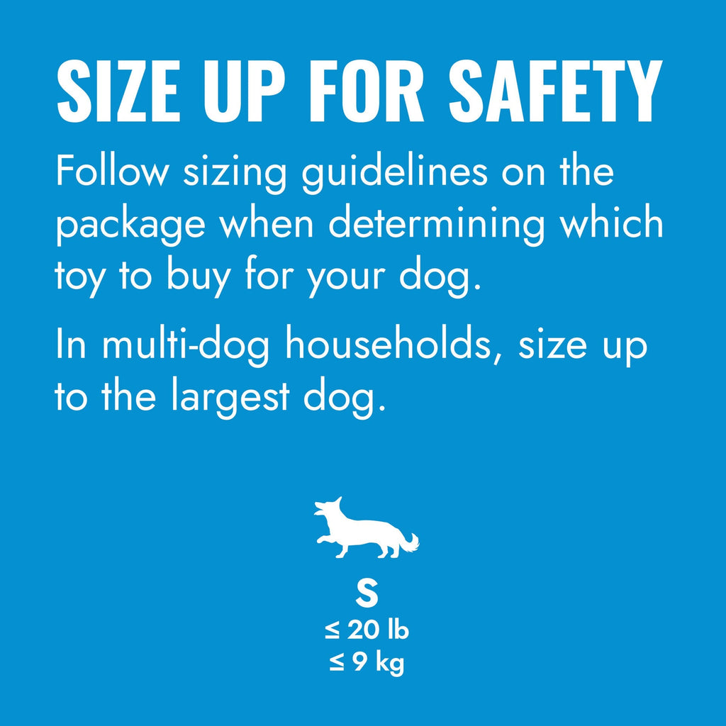 KONG Puppy Flyer. Blue