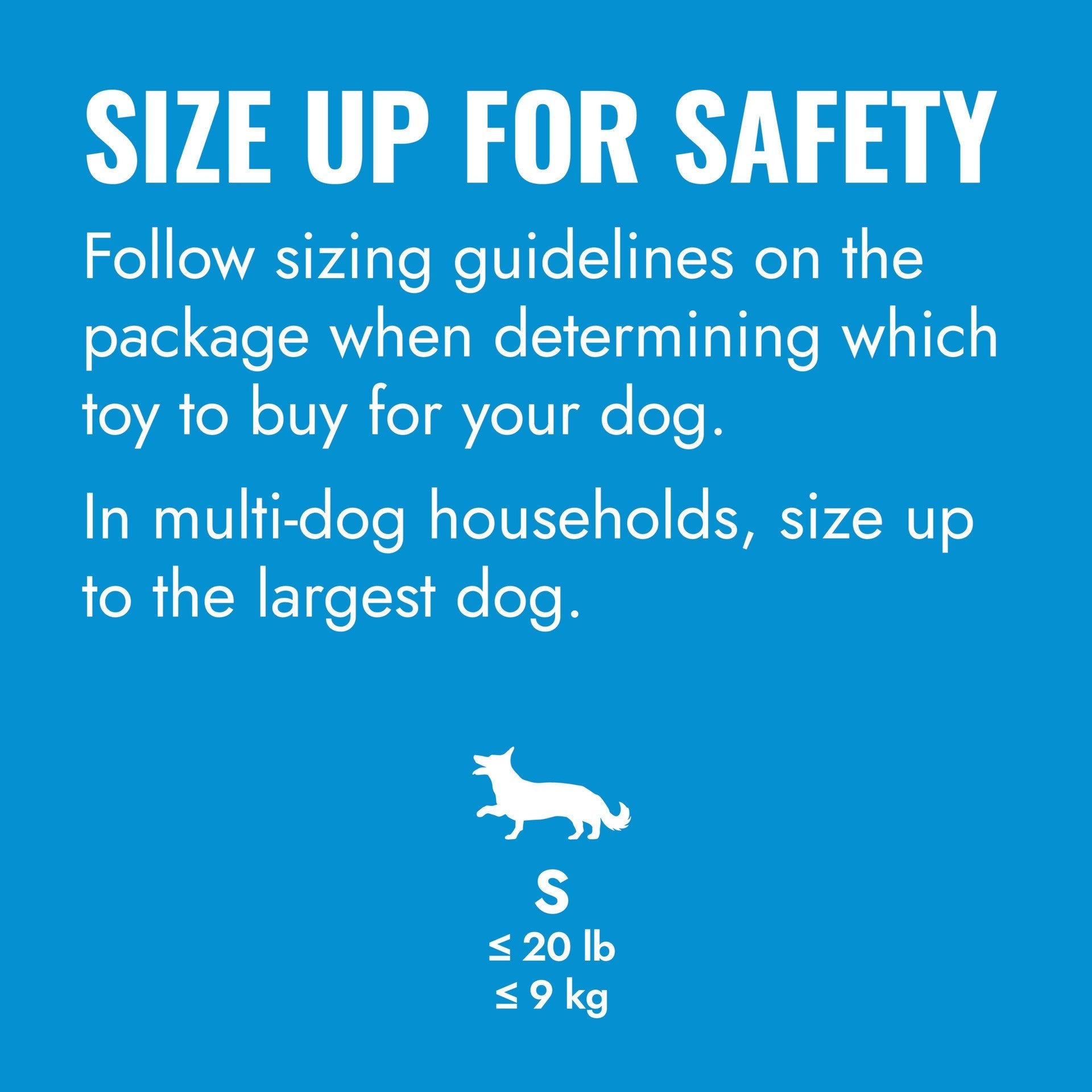 KONG Puppy Flyer. Blue