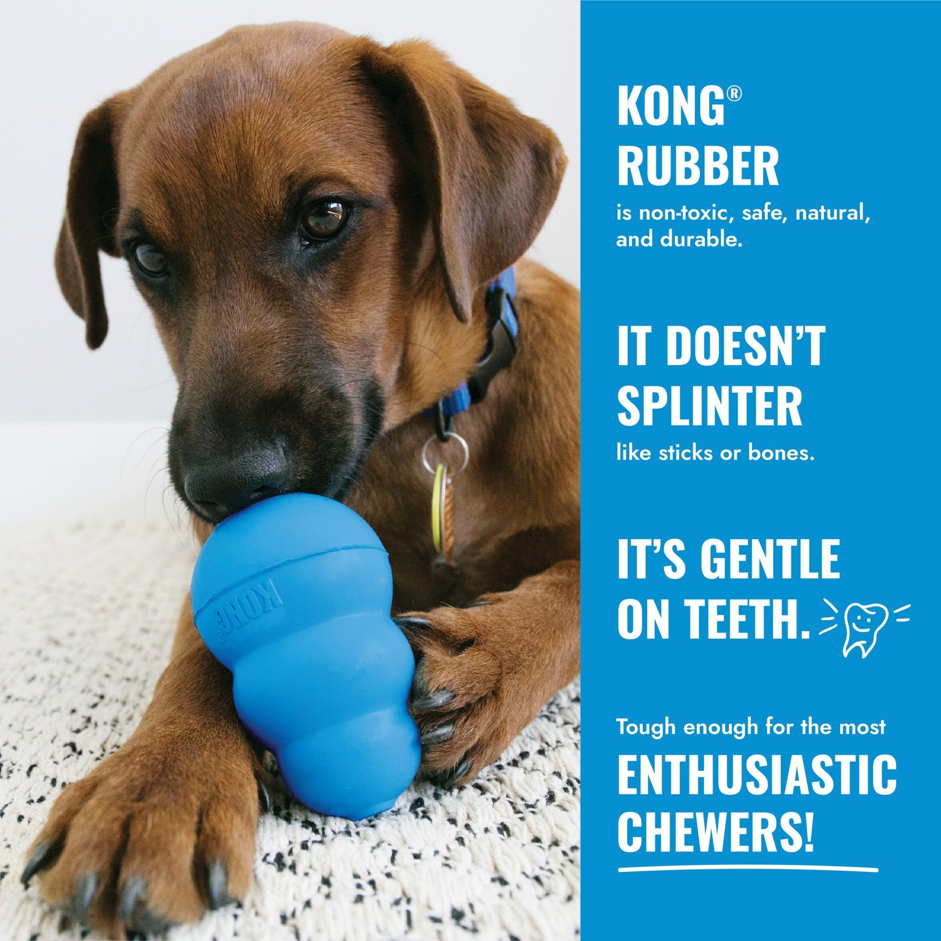 KONG Puppy Flyer. Blue