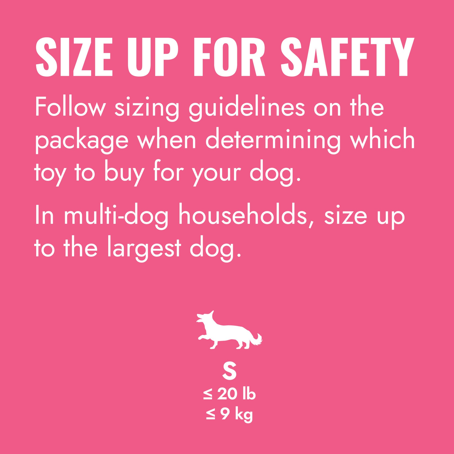KONG Puppy Flyer. Pink