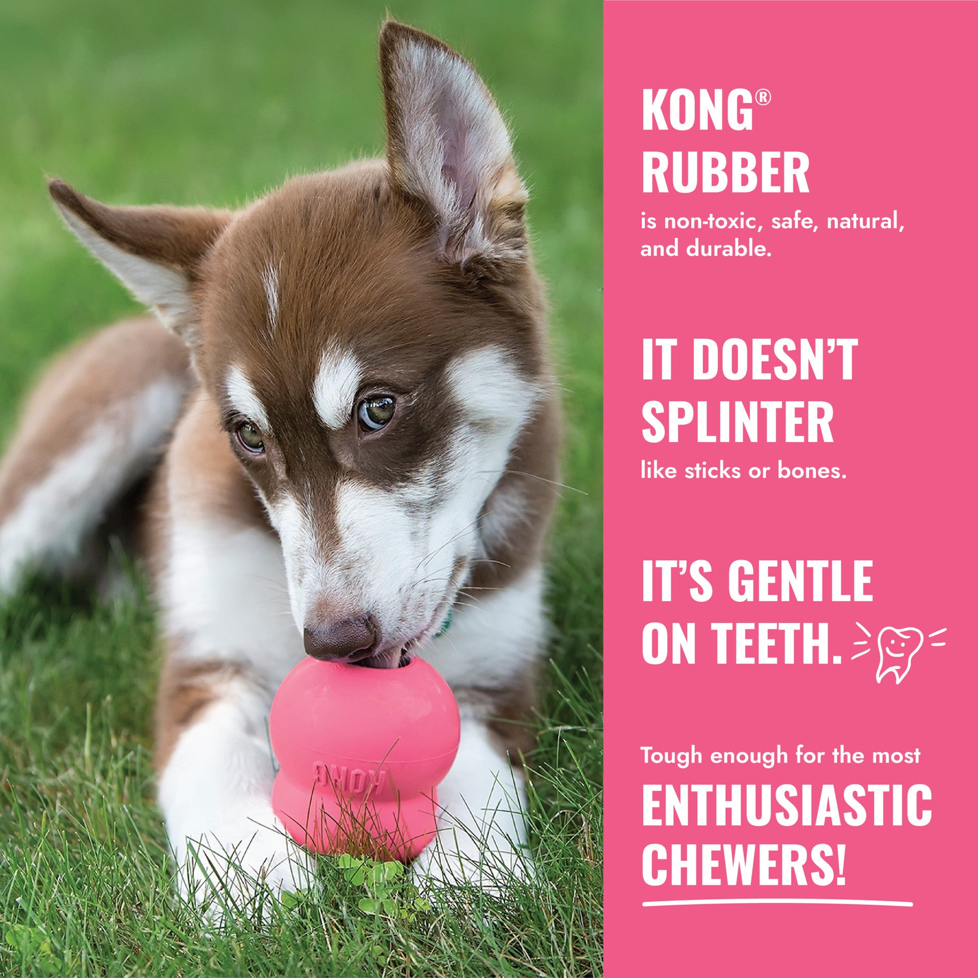 KONG Puppy Flyer. Pink