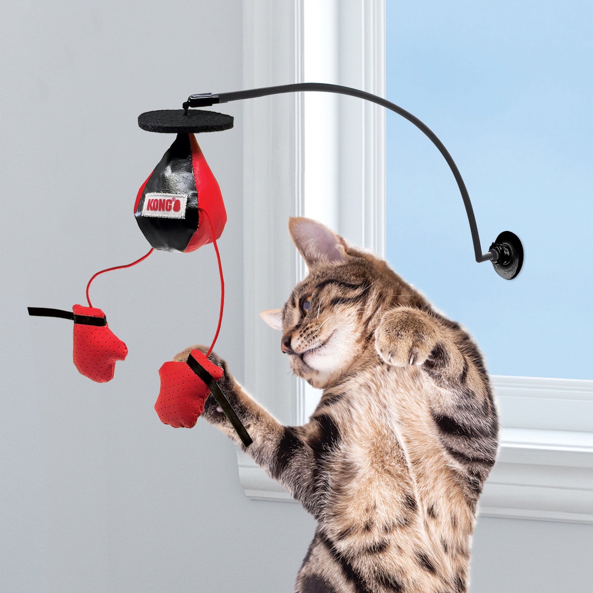 Connects Window Boxing