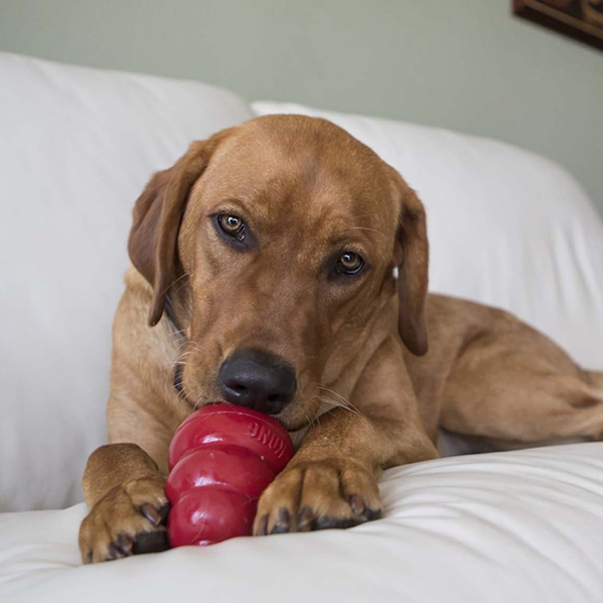 Easy Treat Pepperoni