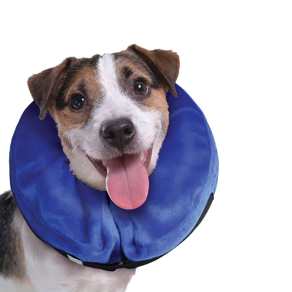 E-Collar Cloud