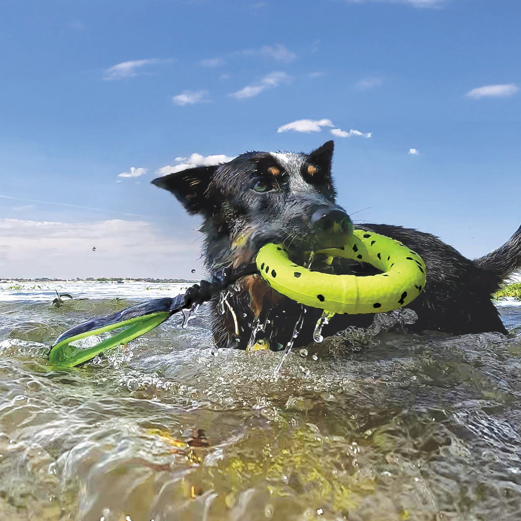 Reflex Tug