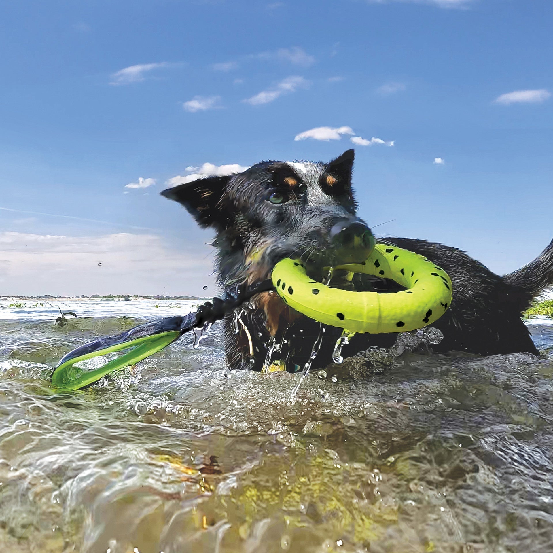 Reflex Tug