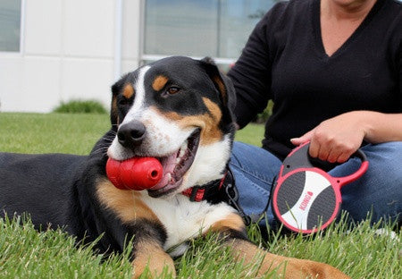 KONG Retractable Leash Explore Red