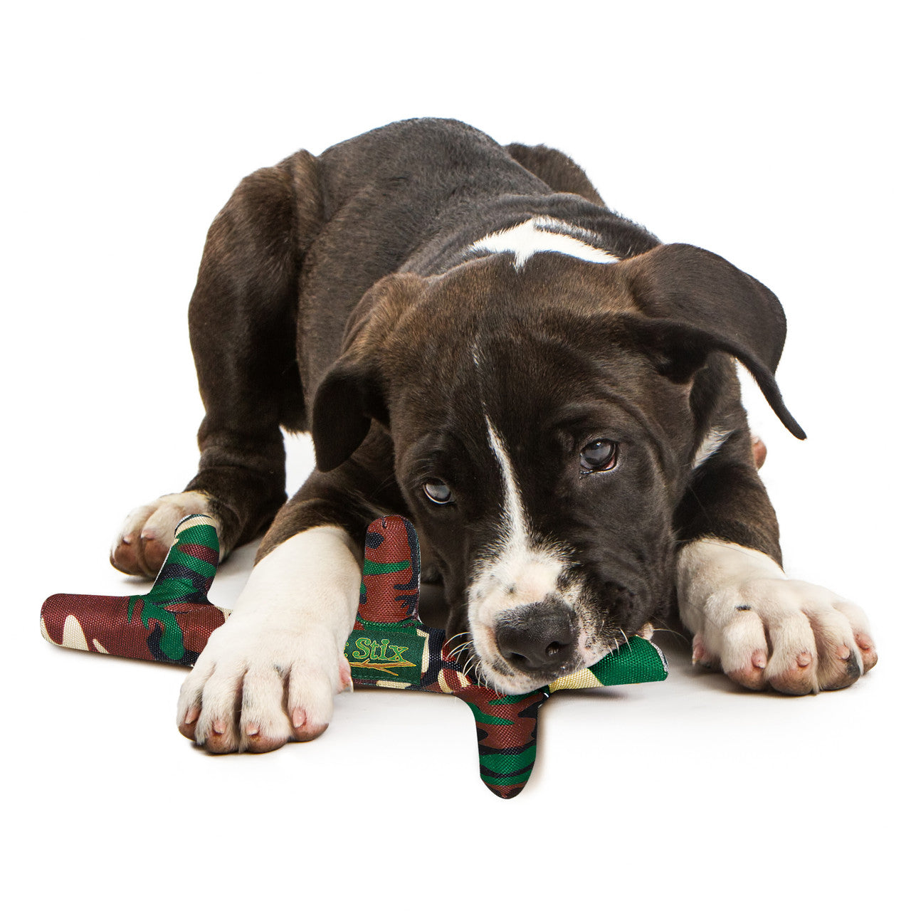 PetStix. Assorted Colors