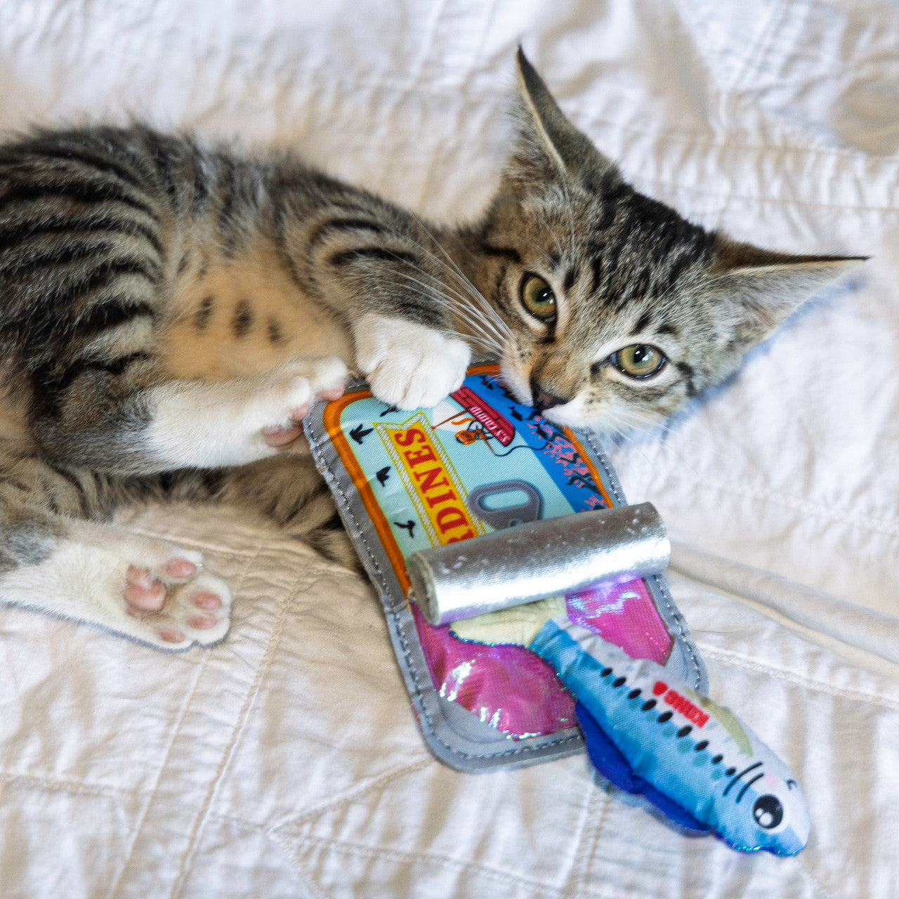 Crackles Sardine