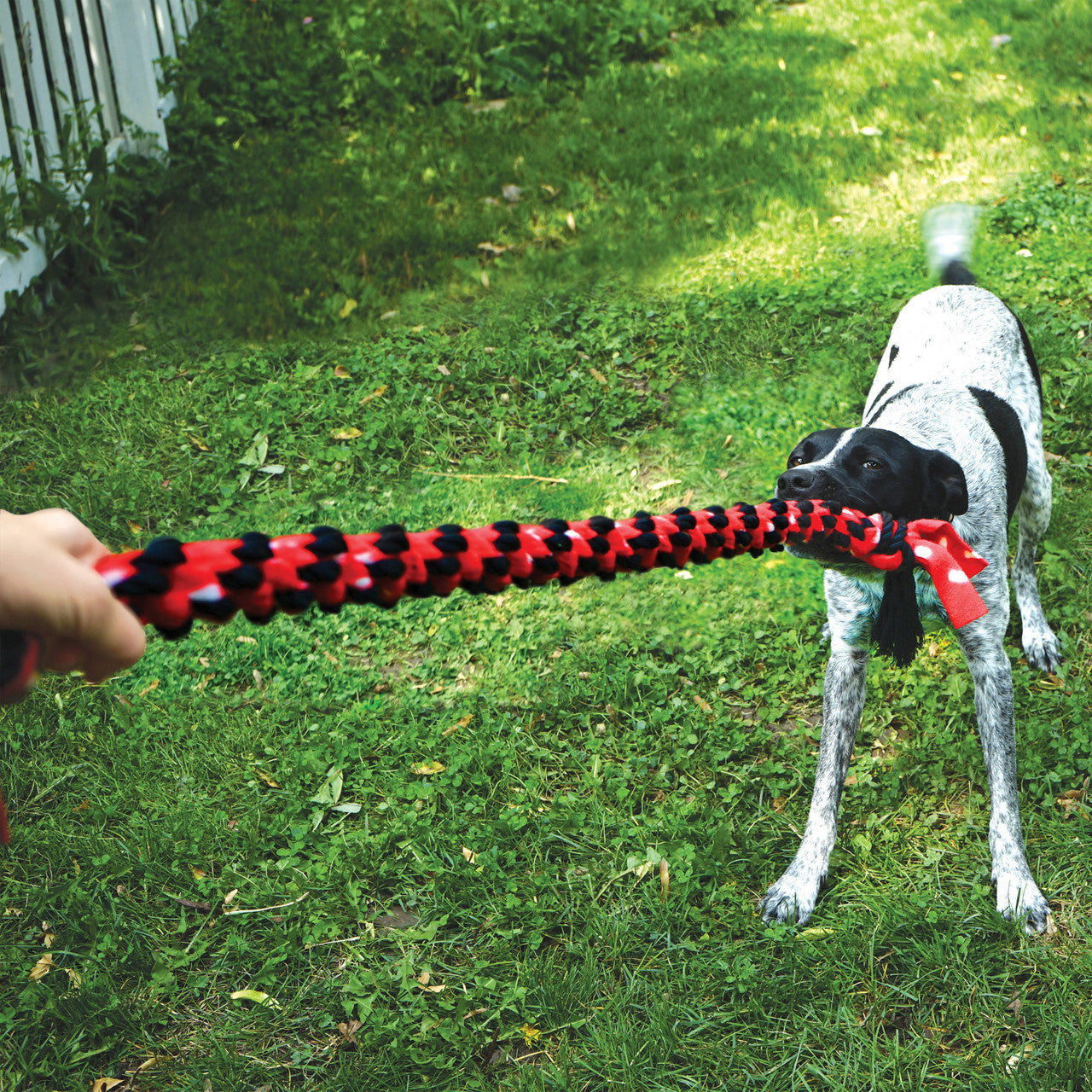 Signature Rope Double Tug